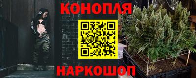 2c-b Новозыбков