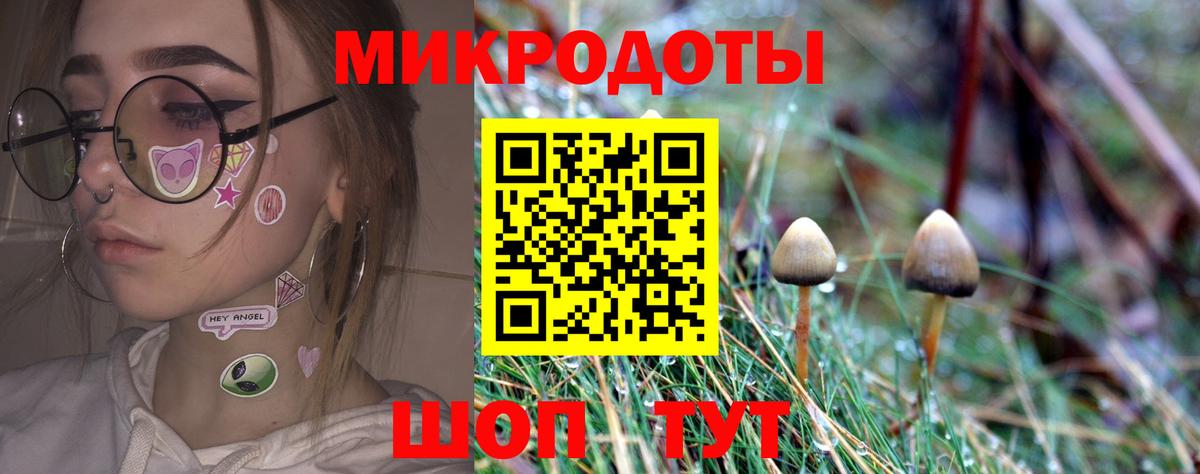 Псилоцибиновые грибы Psilocybine cubensis Сызрань